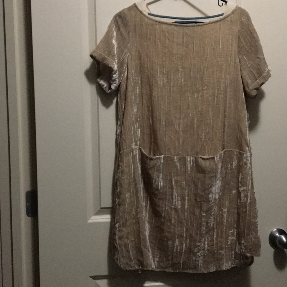 Velvet Tunic/Dress